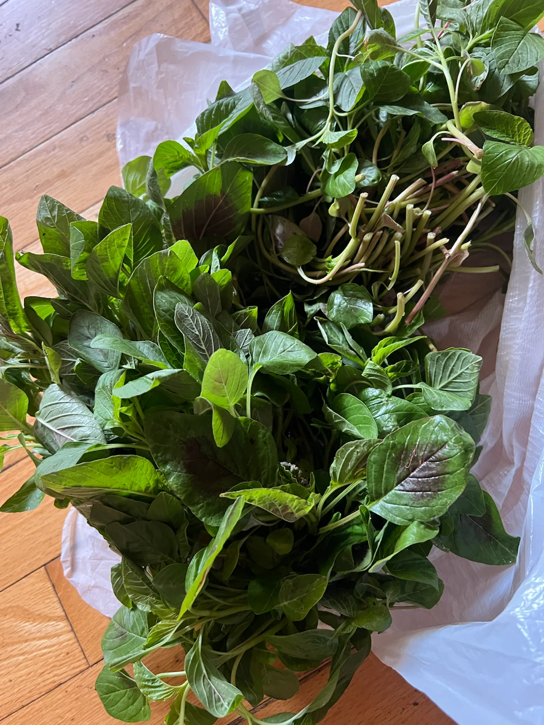 Fresh Amaranth Greens