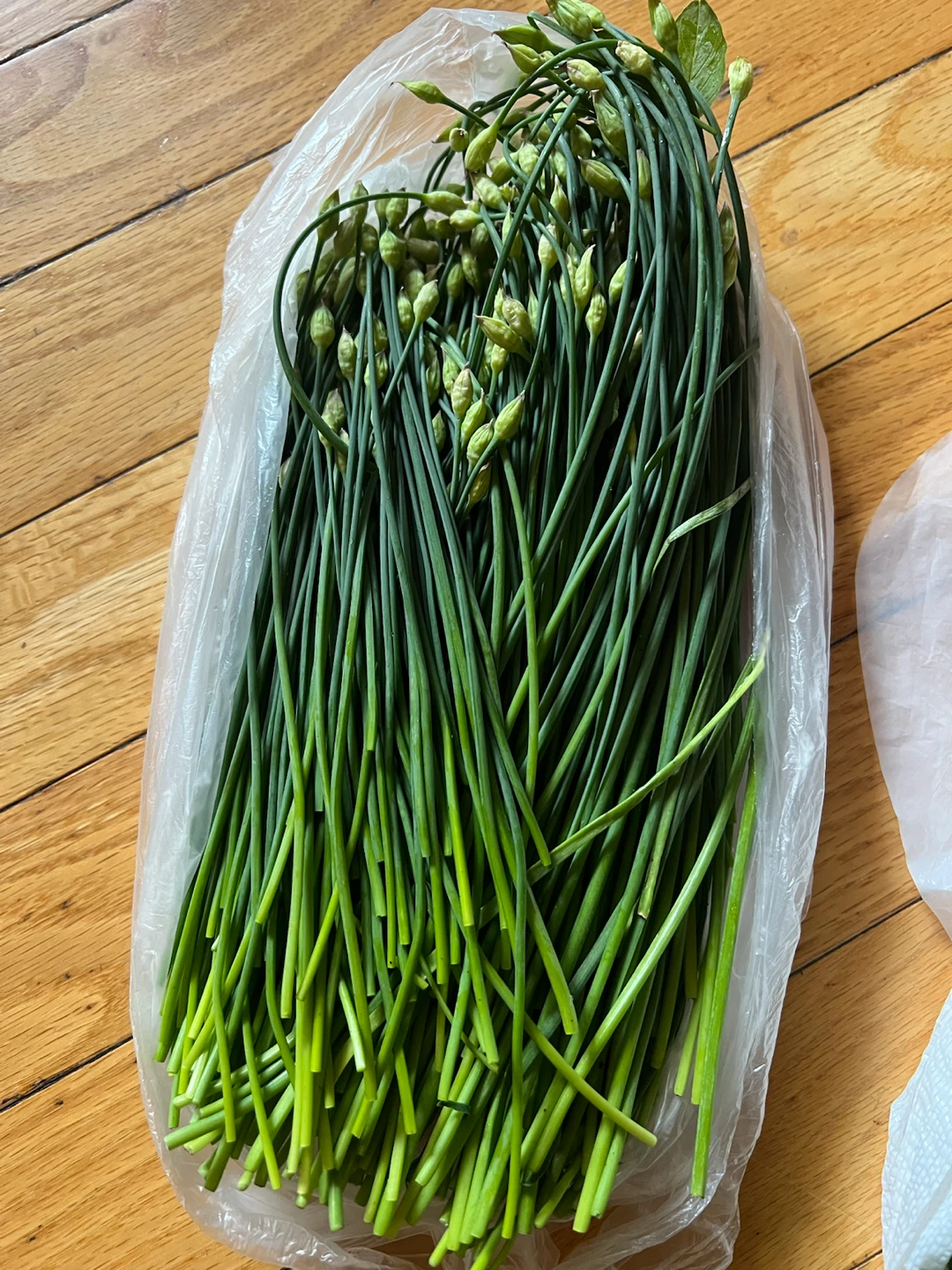 Fresh Chinese chives Scapes