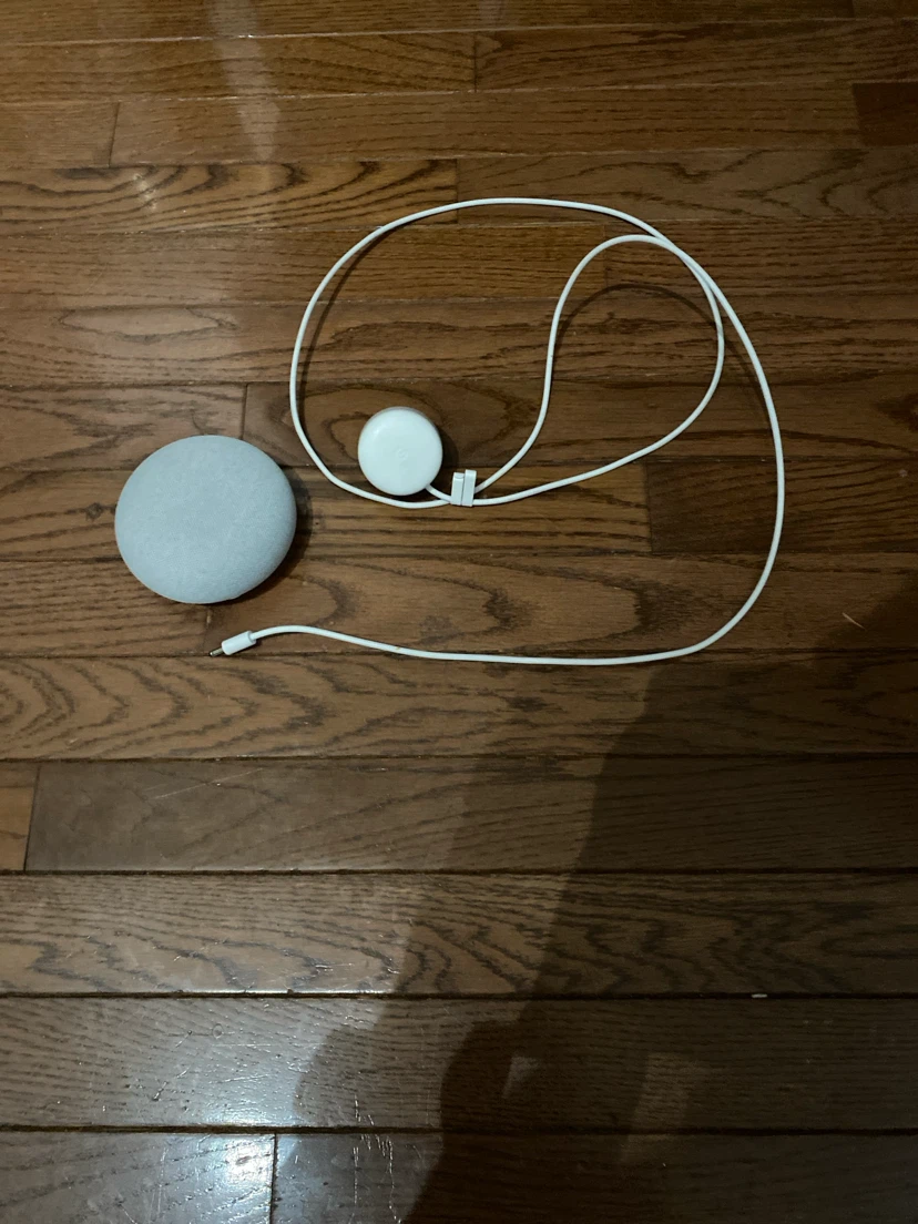 Google Nest Mini