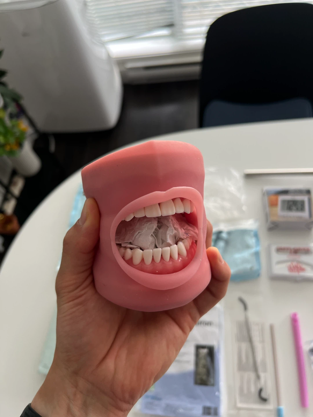 Dental Manikin and Dental Supply Kit - photo 2