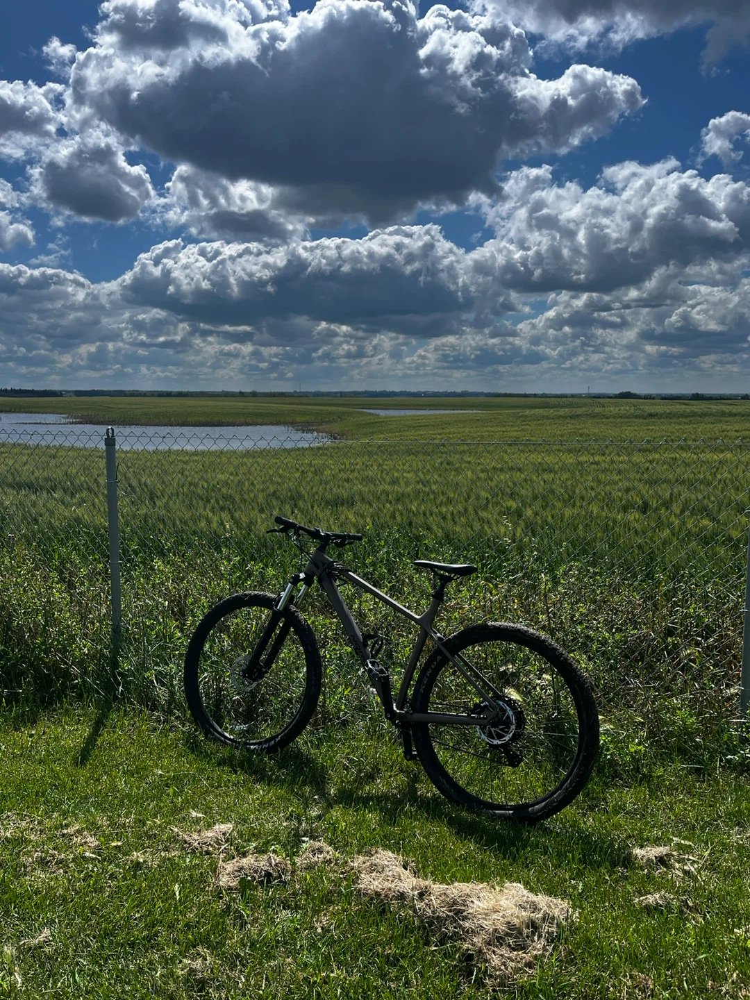 *STOLEN* Norco storm 2 Mountain Bike