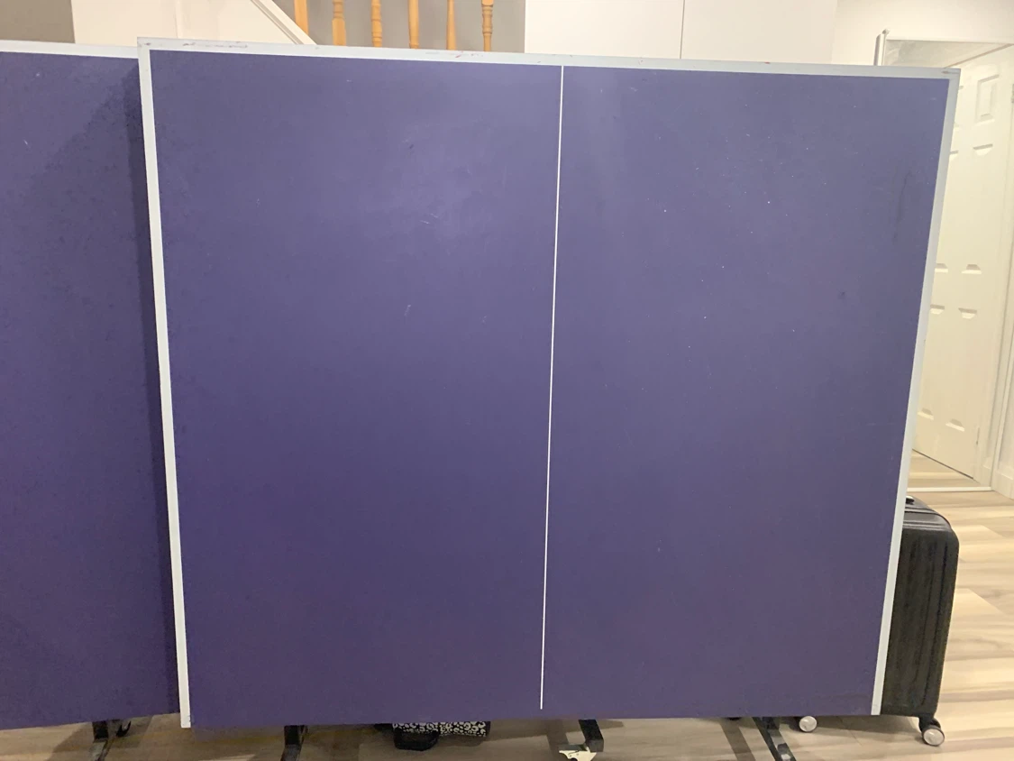 Purple Ping Pong Table with net