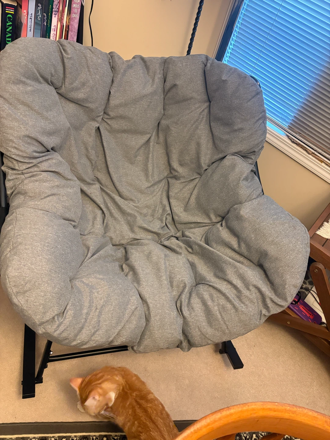Grey Saucer Chair with Soft Cushions - photo 5