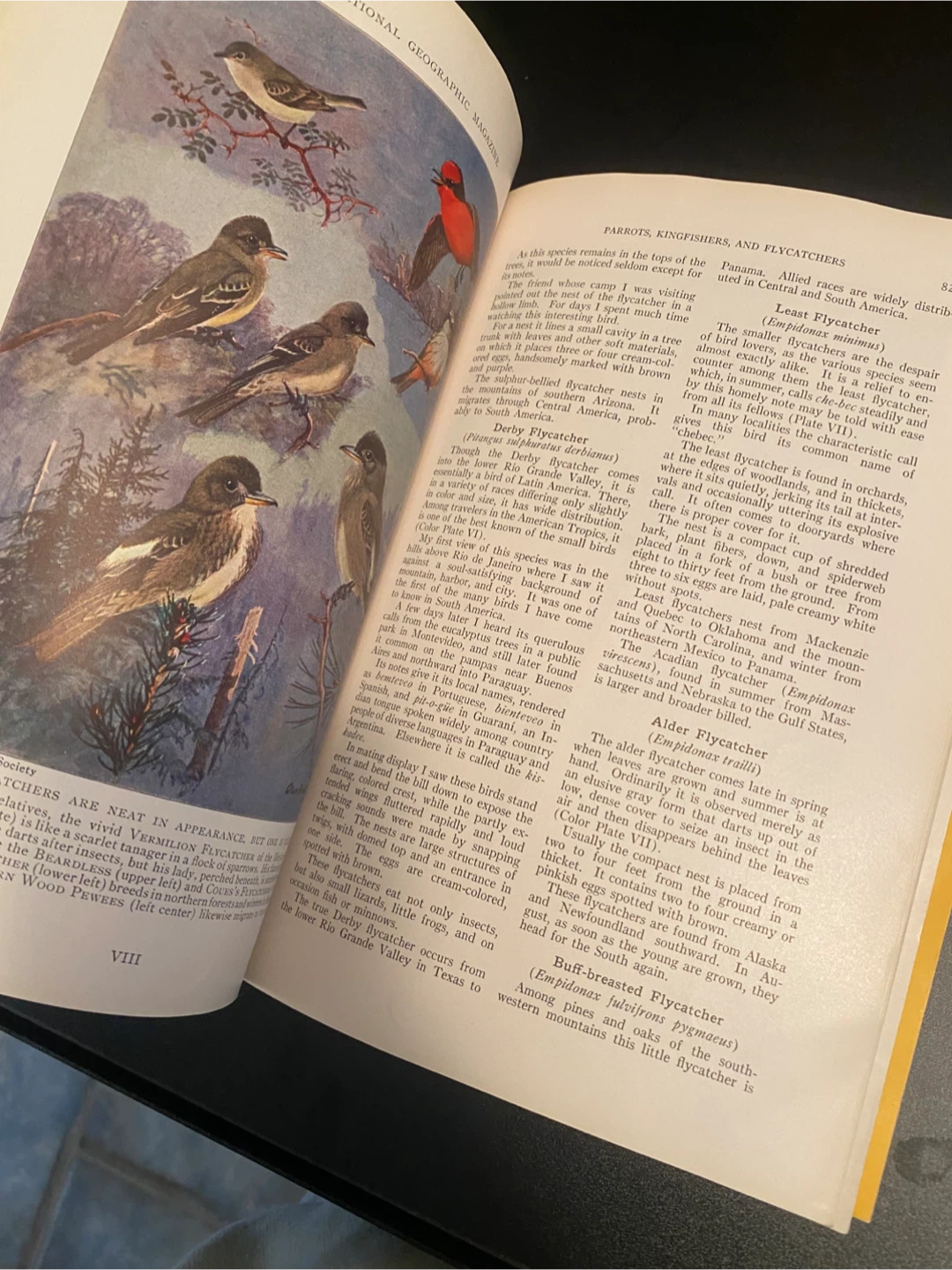 The National Geographic Magazine - July & June 1936 Issues - photo 5