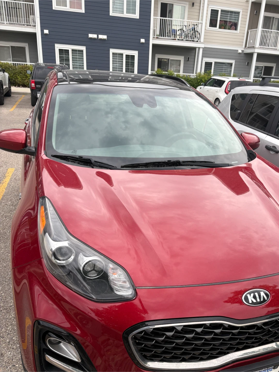 2020 Kia Sportage - clean title and low KM’s!!!