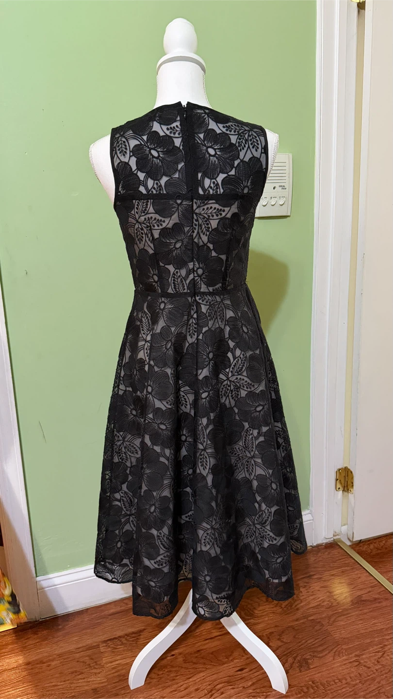 Black Lace Fit and Flare Dress