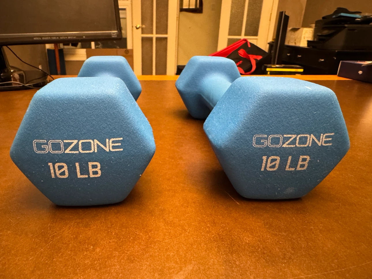 GOZONE 10 LB Dumbbells (Pair) - Blue