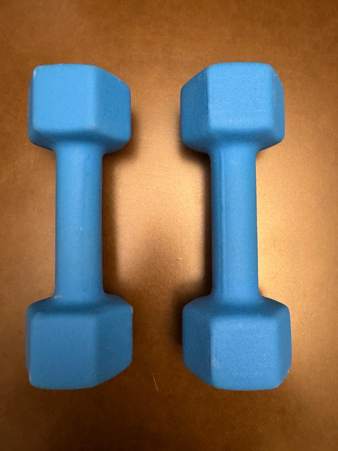 GOZONE 10 LB Dumbbells (Pair) - Blue - photo 2