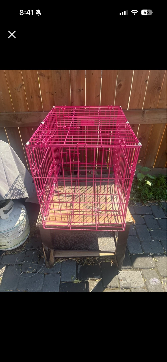 Pink Pet Carrier Cage