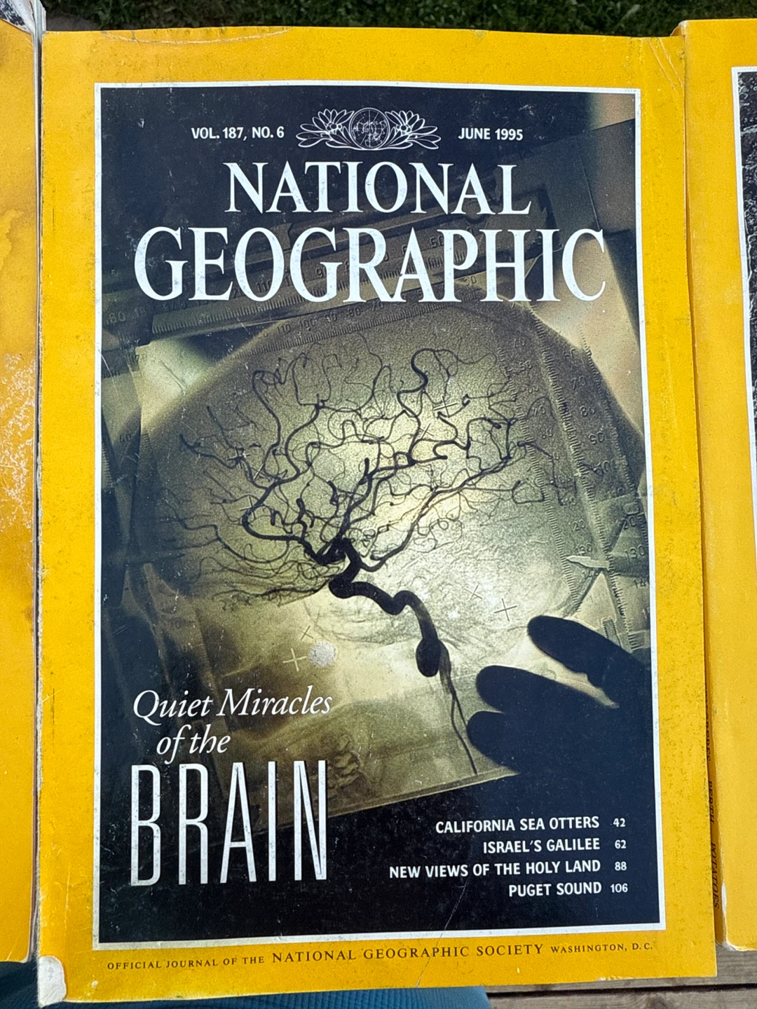 National Geographic Magazines - photo 3