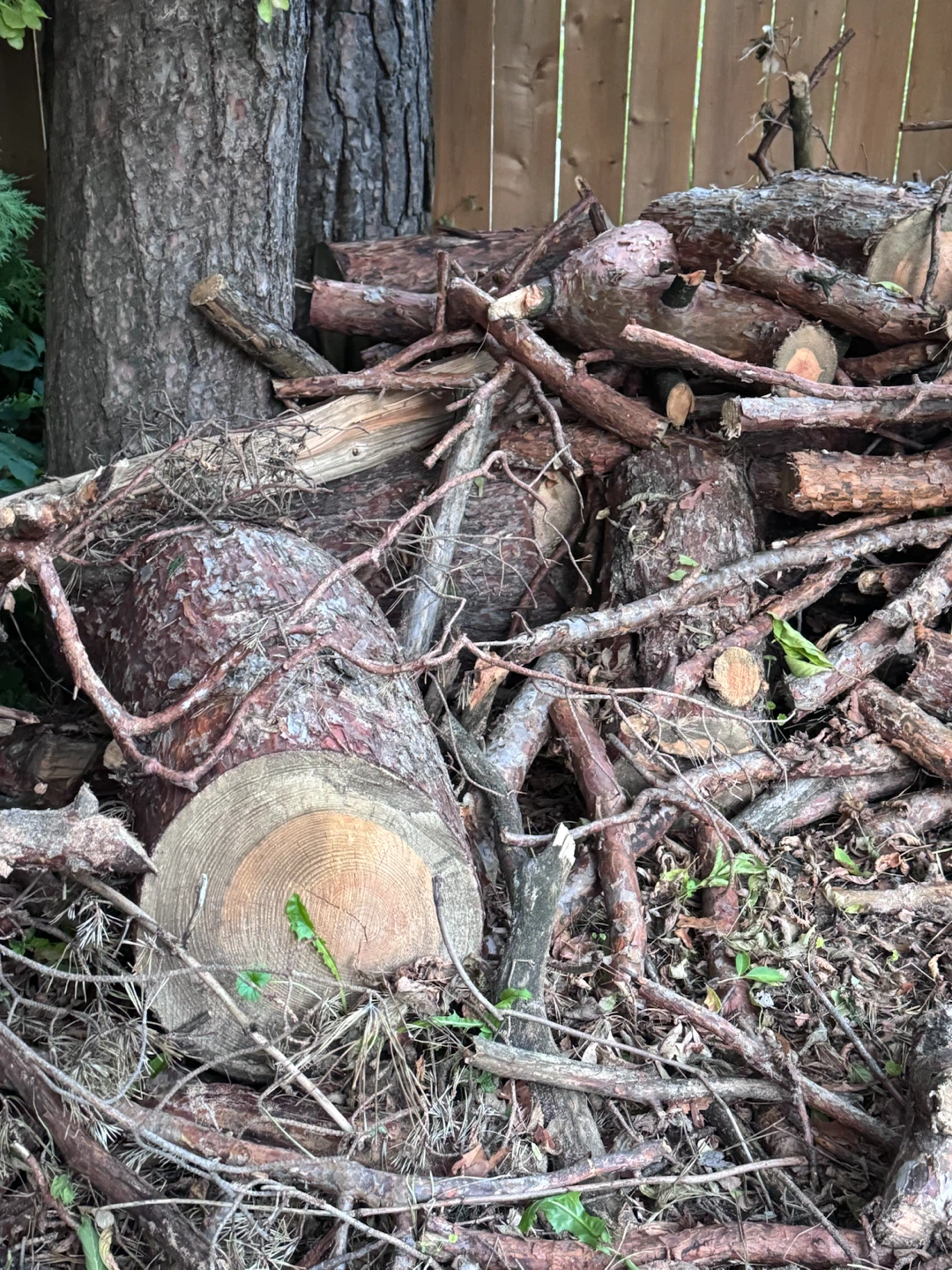 Mixed Firewood Bundle