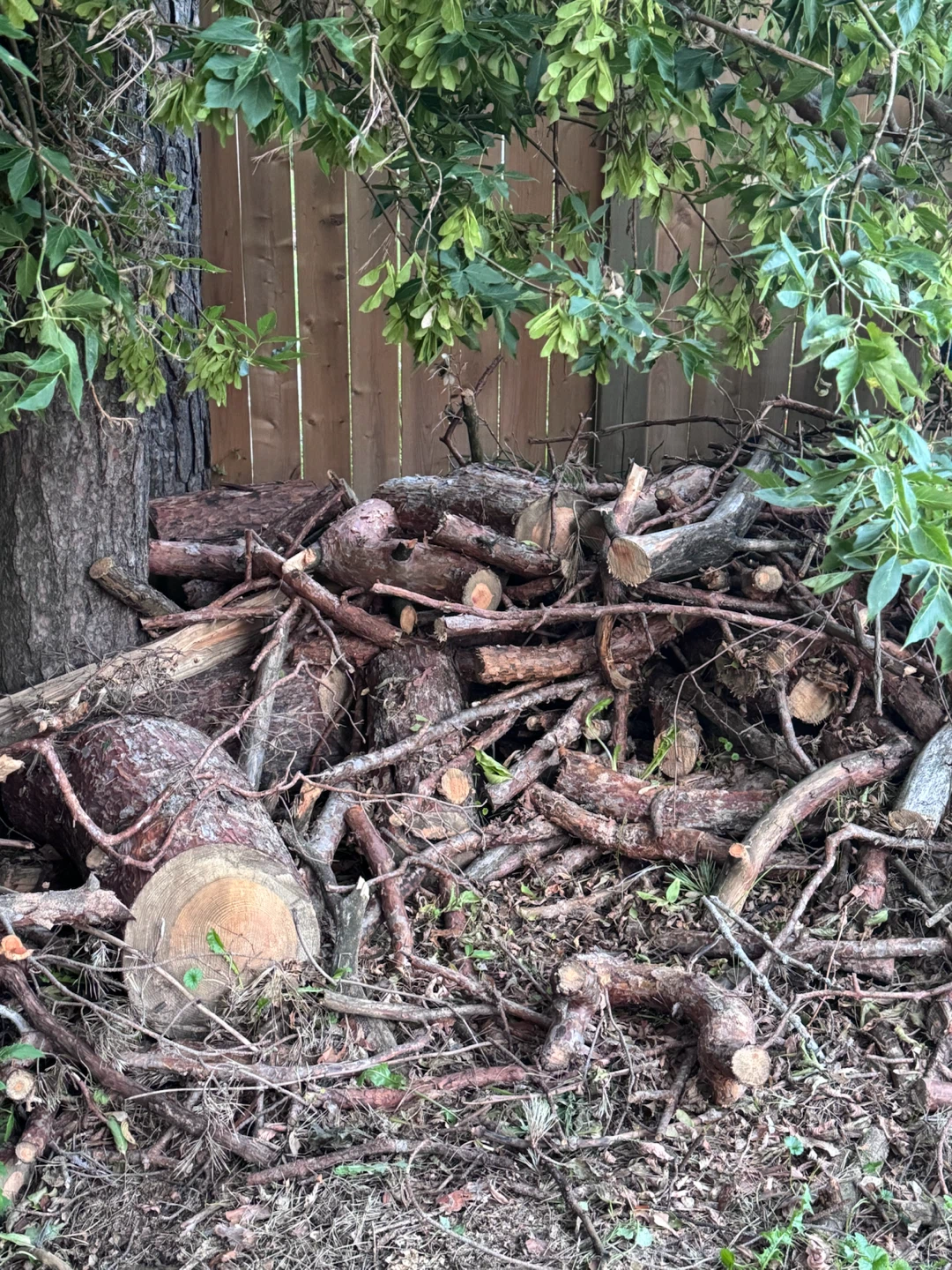 Mixed Firewood Bundle - photo 2