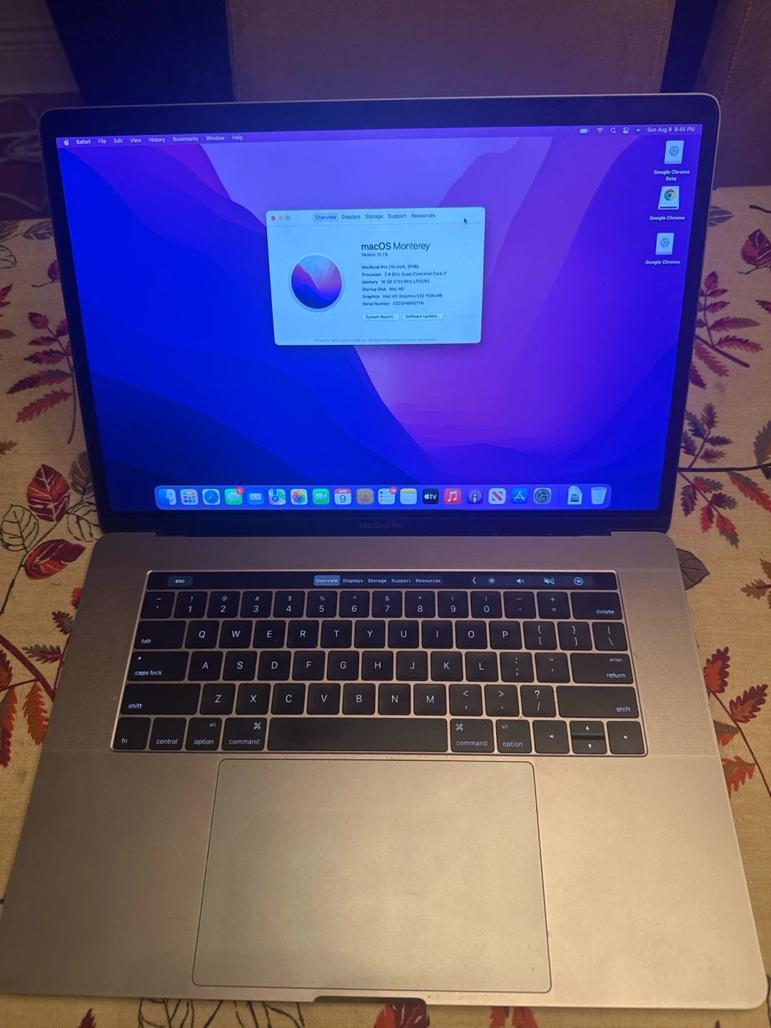 Apple MacBook Pro (15-inch, 2016) 16 GB Ram