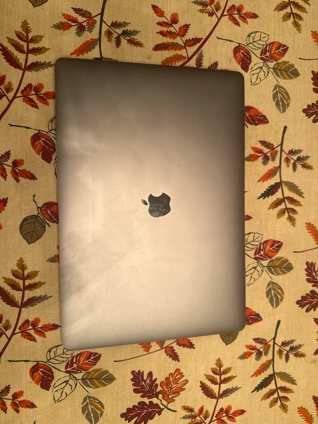 Apple MacBook Pro (15-inch, 2016) 16 GB Ram - photo 2