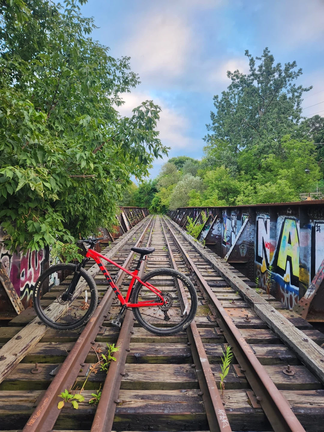 Trek Marlin 8 Mountain Bike - photo 2