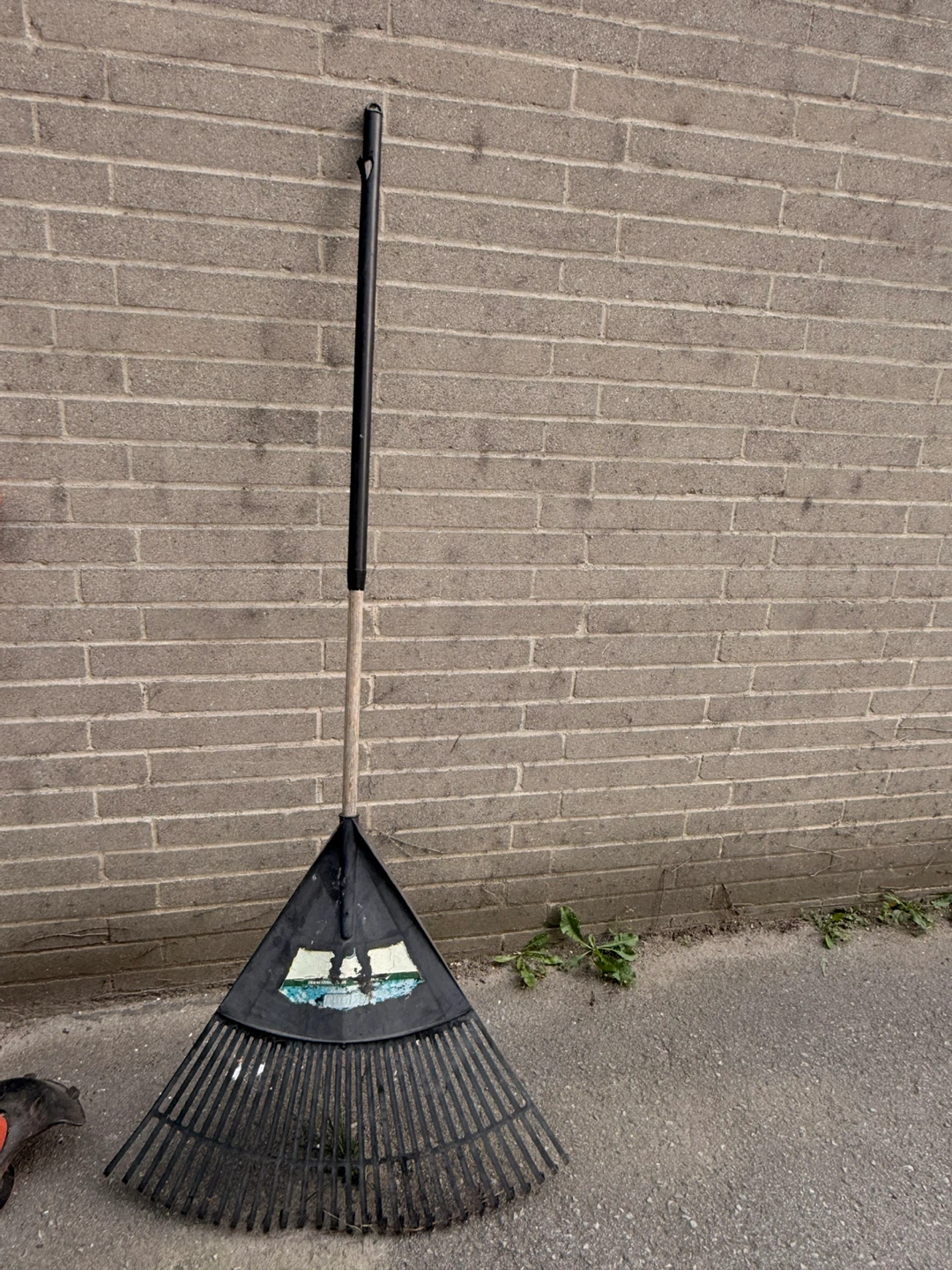 Leaf Rake