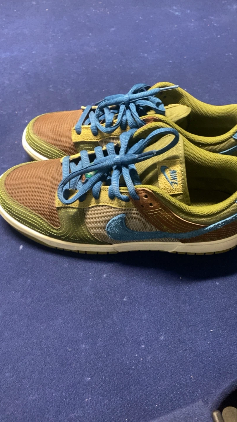 Nike Dunk Low SE Men's Shoes