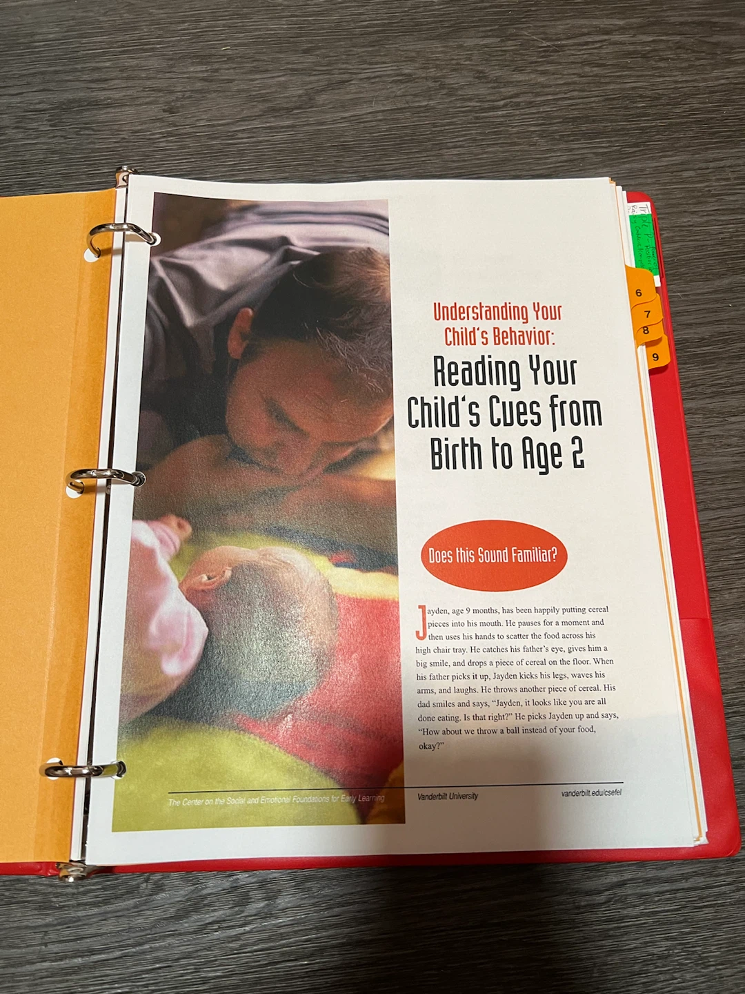 Binder of Early Learning Resources - photo 2