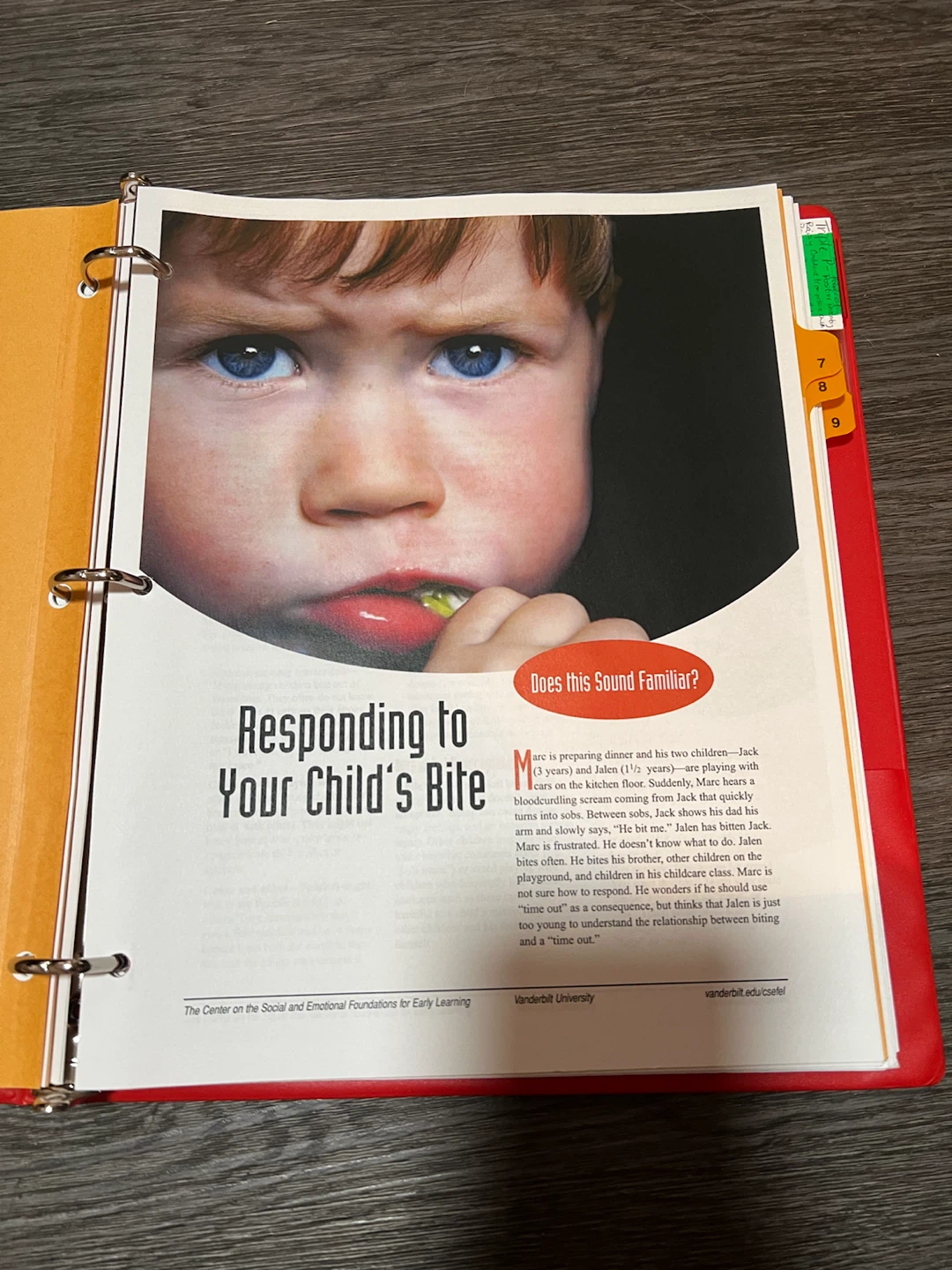 Binder of Early Learning Resources - photo 3