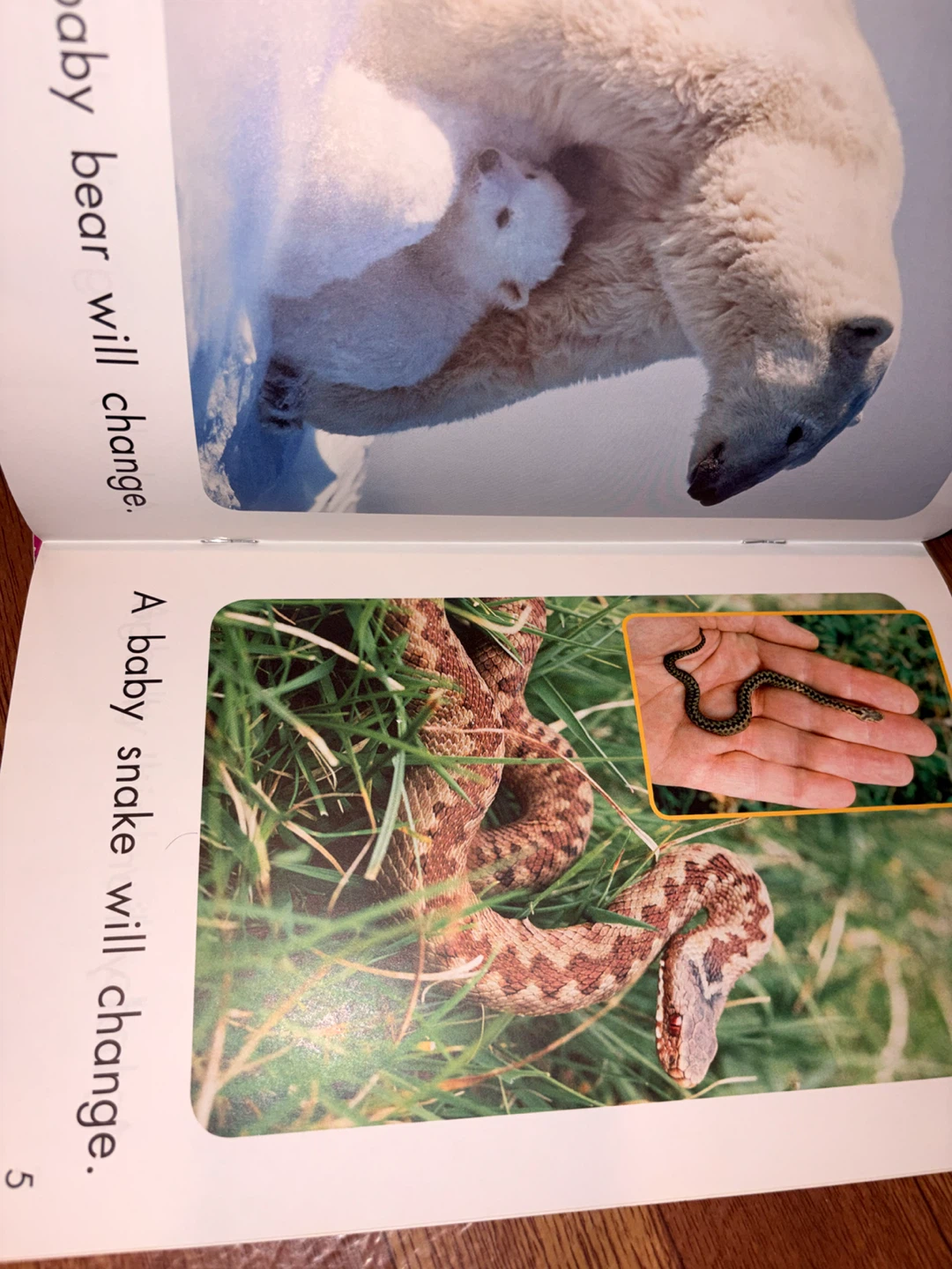 Children books - photo 4