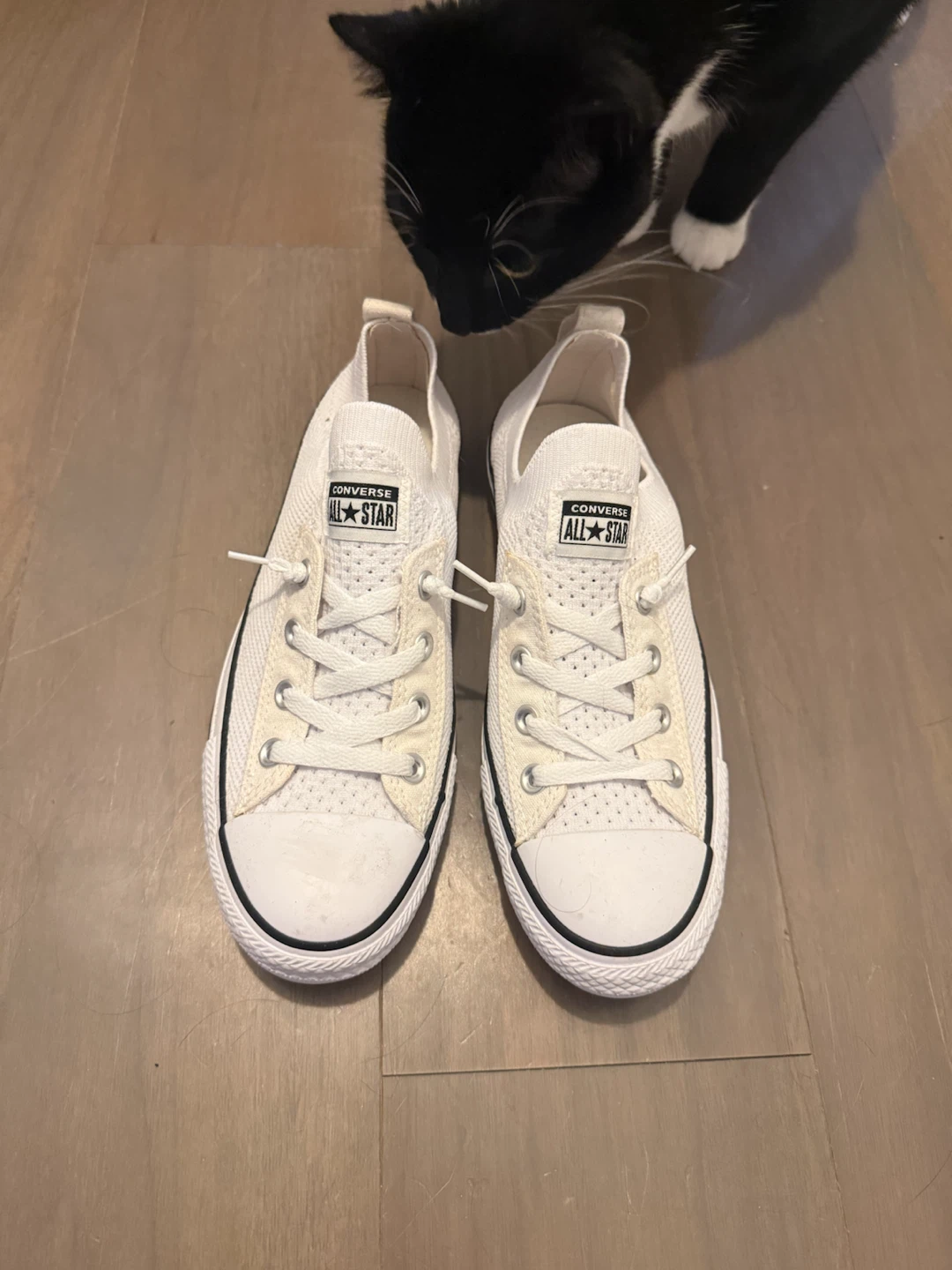 Converse All Star White Sneakers