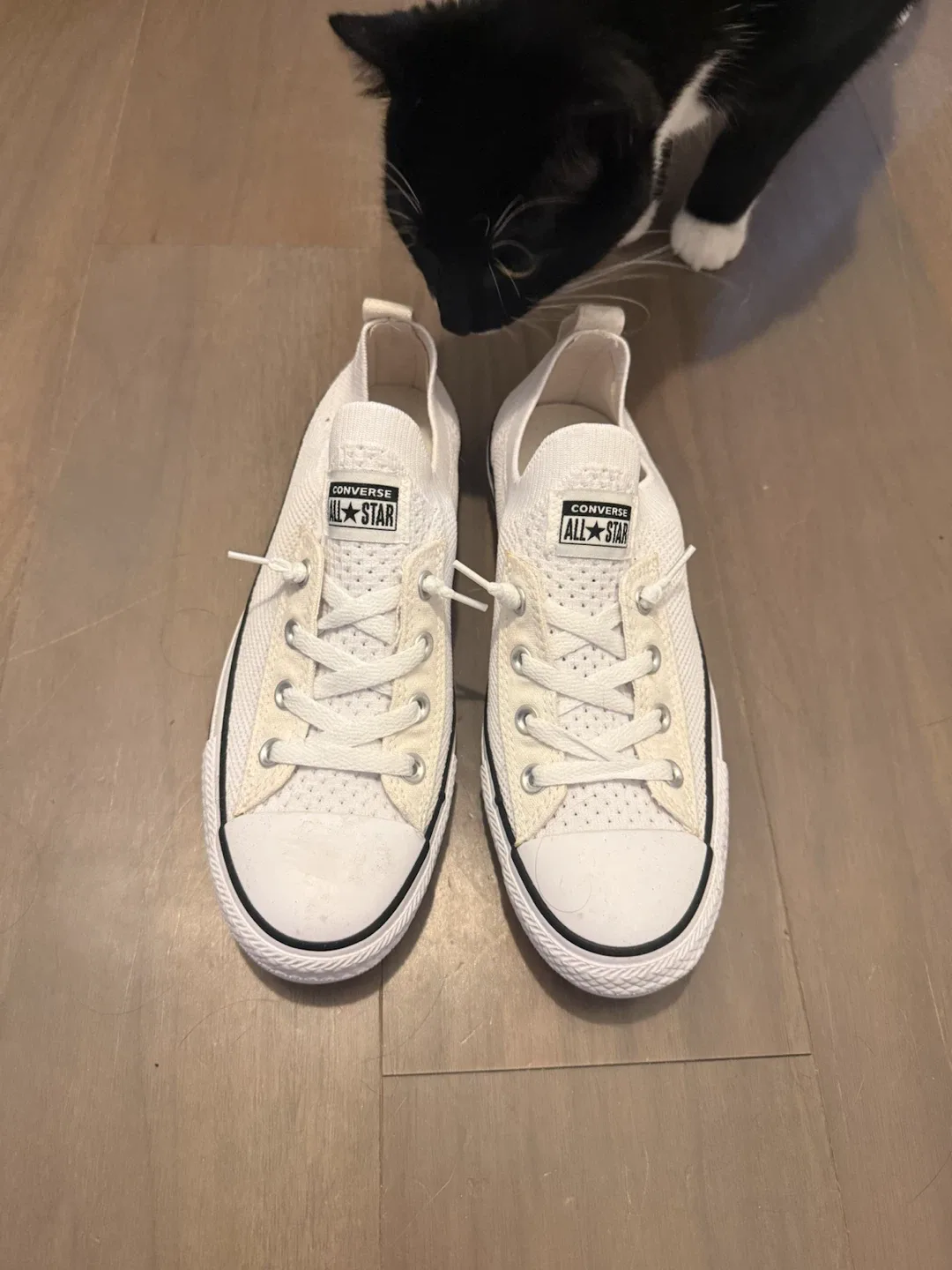 Converse All Star White Sneakers