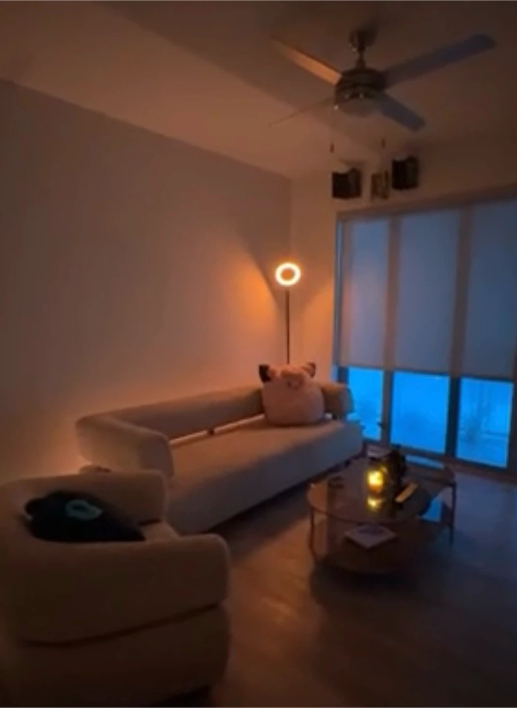 Modern Ring Floor Lamp