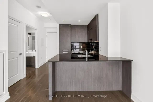 1Bed Downtown Furnished Short Term Rental Available Sept. 1 - photo 4