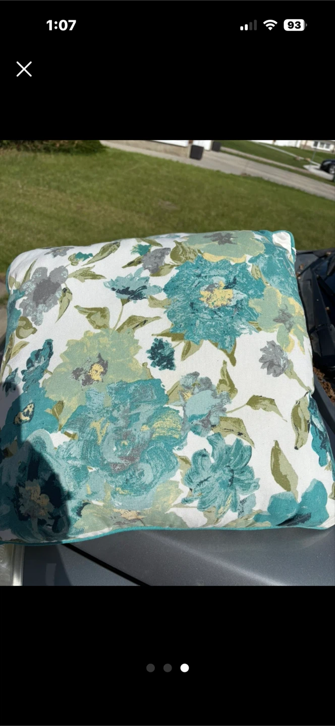 Decorative Throw Pillow