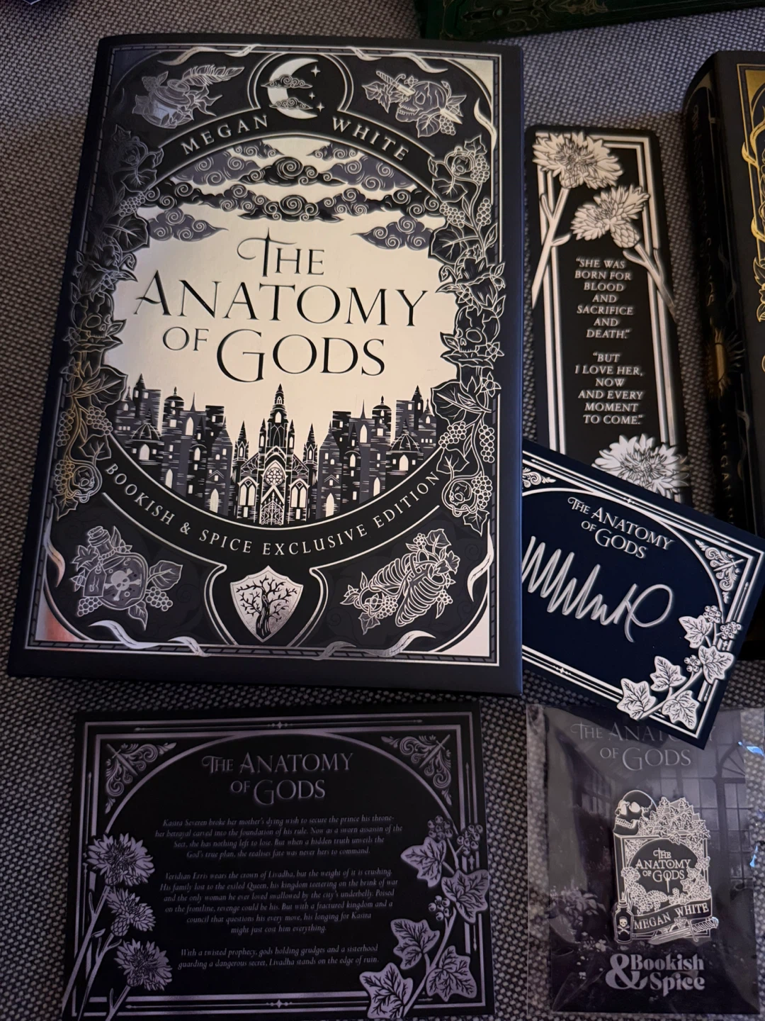 Bookish & Spice Megan White ~ Anatomy of Song & Gods - photo 3