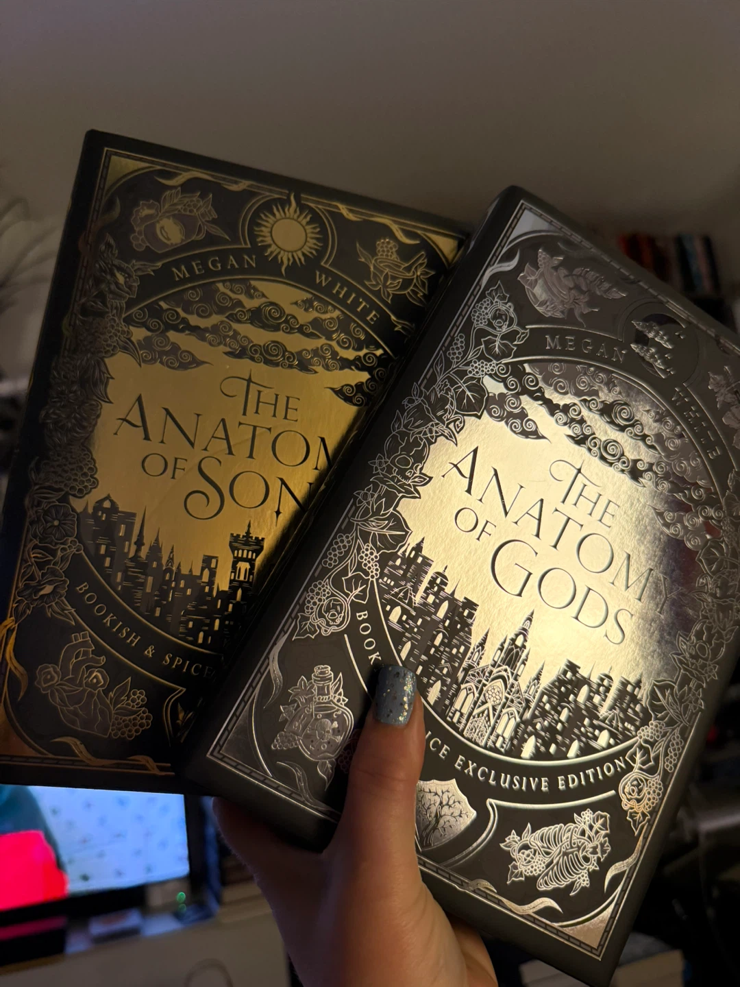 Bookish & Spice Megan White ~ Anatomy of Song & Gods - photo 4