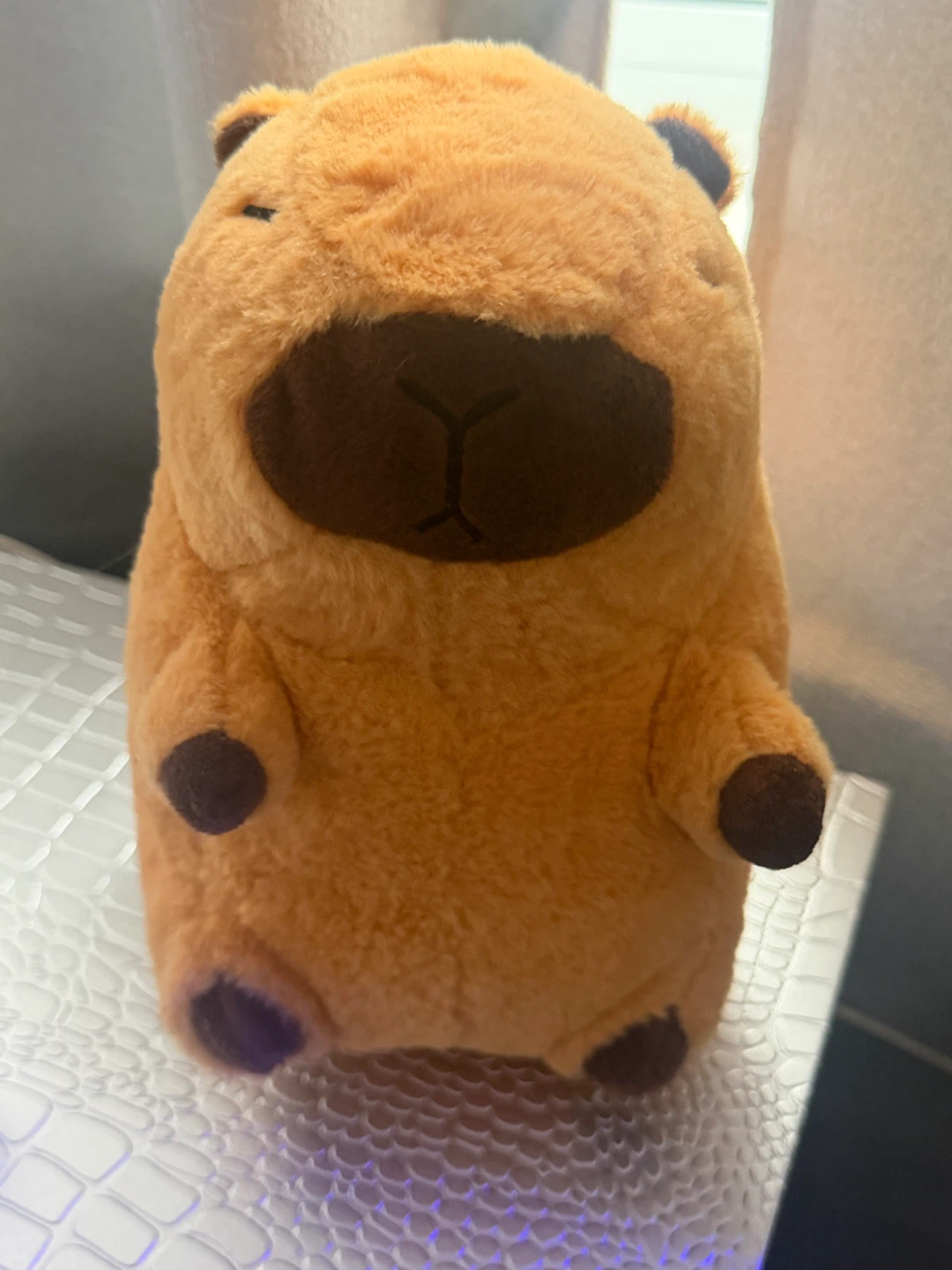 Small Cute Capybara Plush Toy