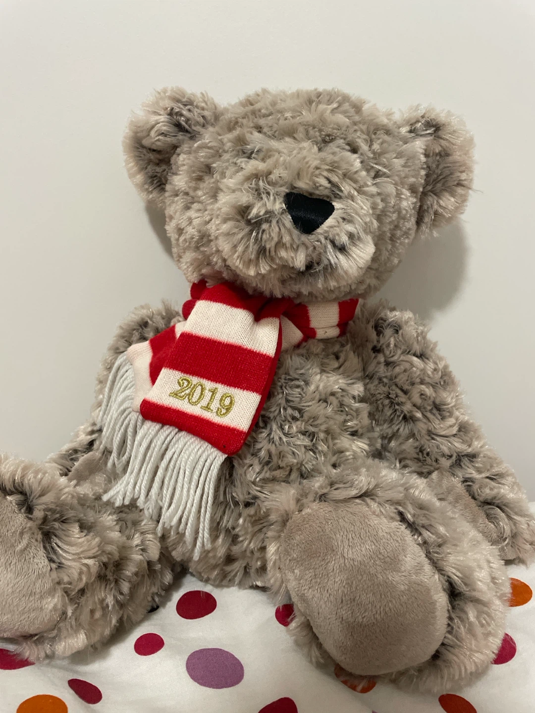 2019 Teddy Bear with Scarf
