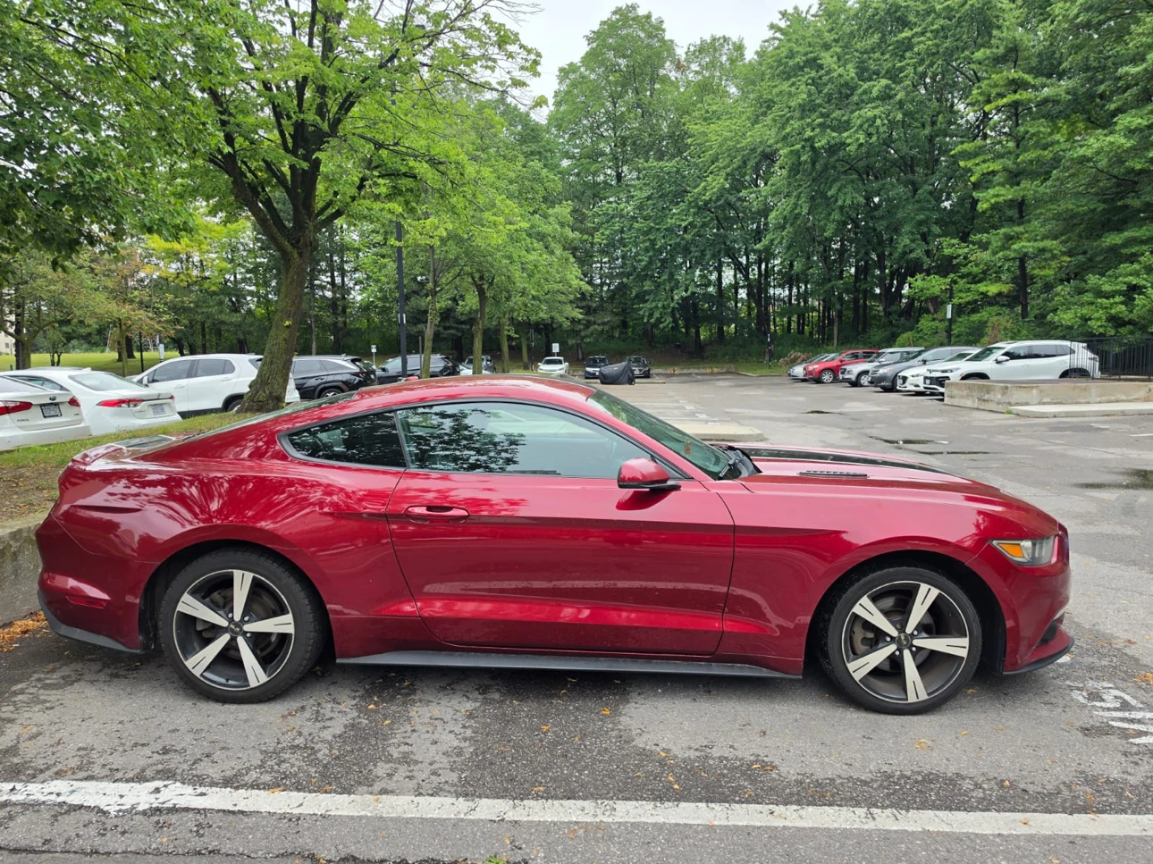 Mustang car - photo 2