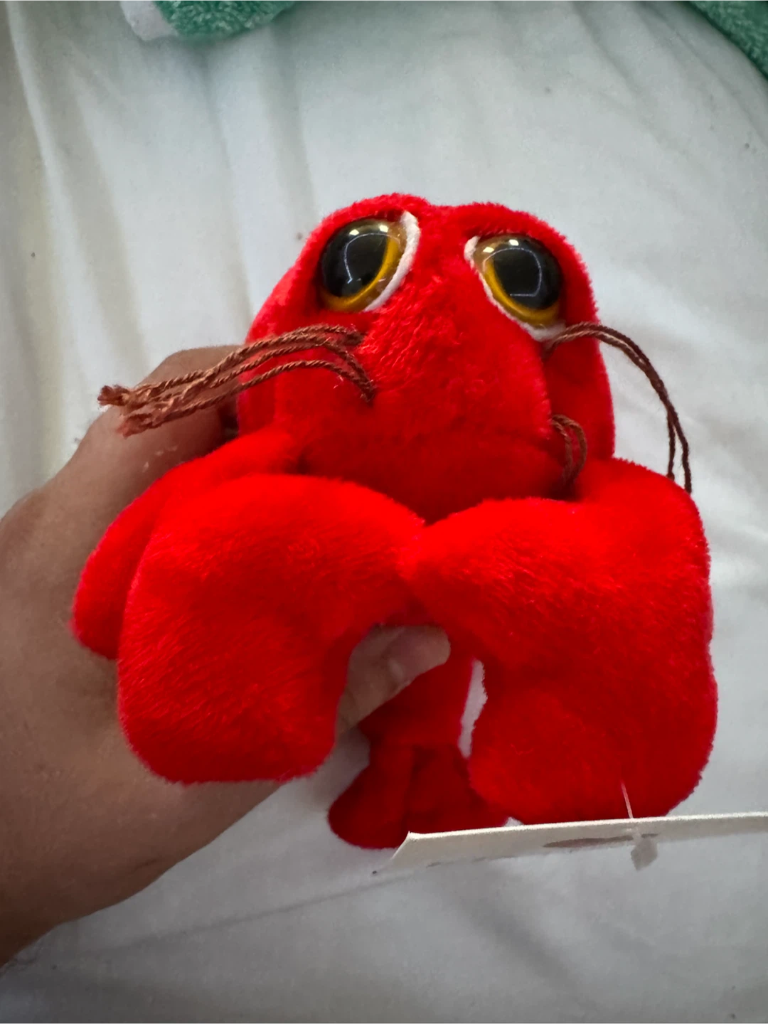 Prince Edward Island Lobster Plush – Kindred Spirits - photo 2