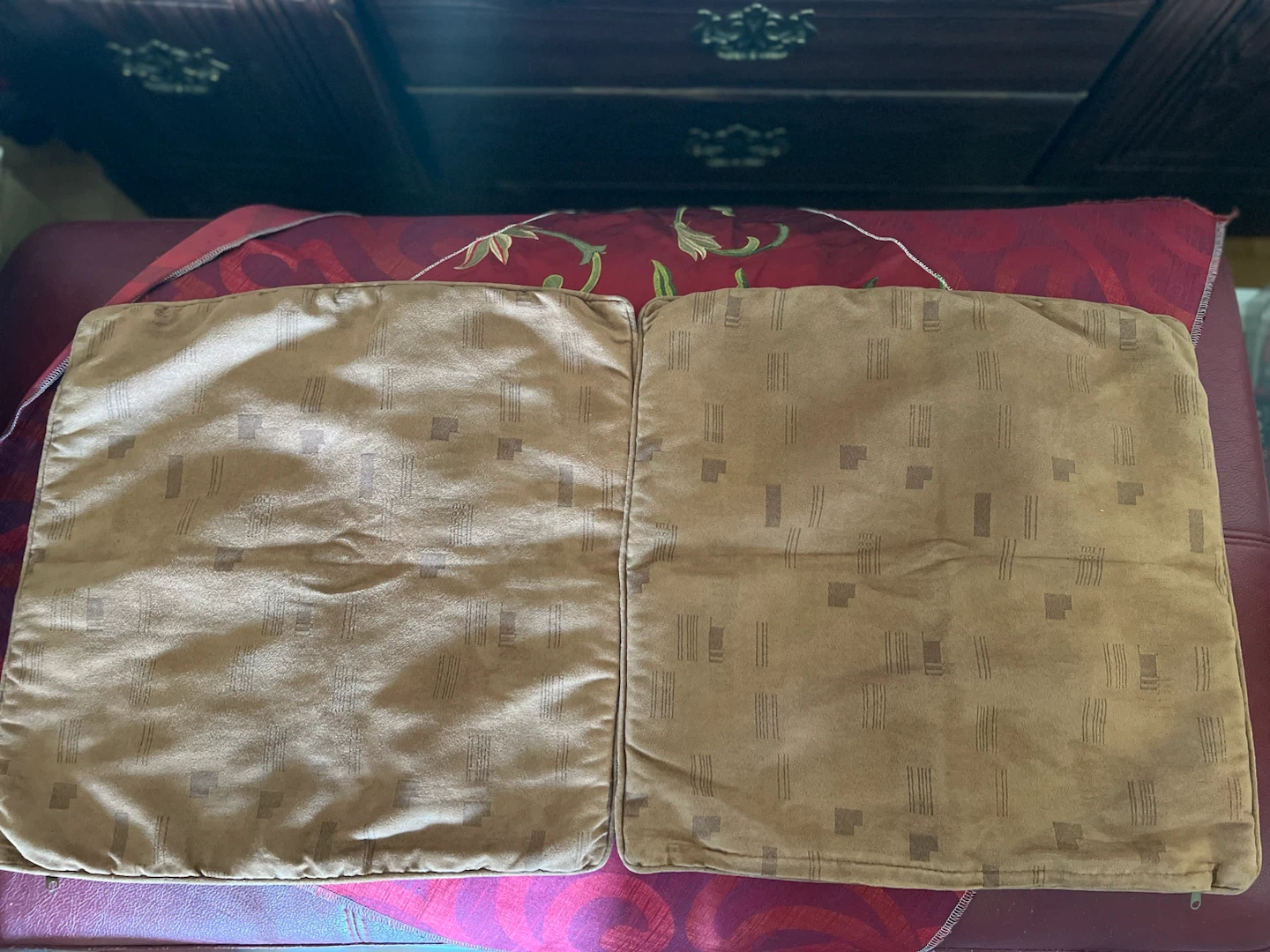 Two Square Throw Pillows/Cushions