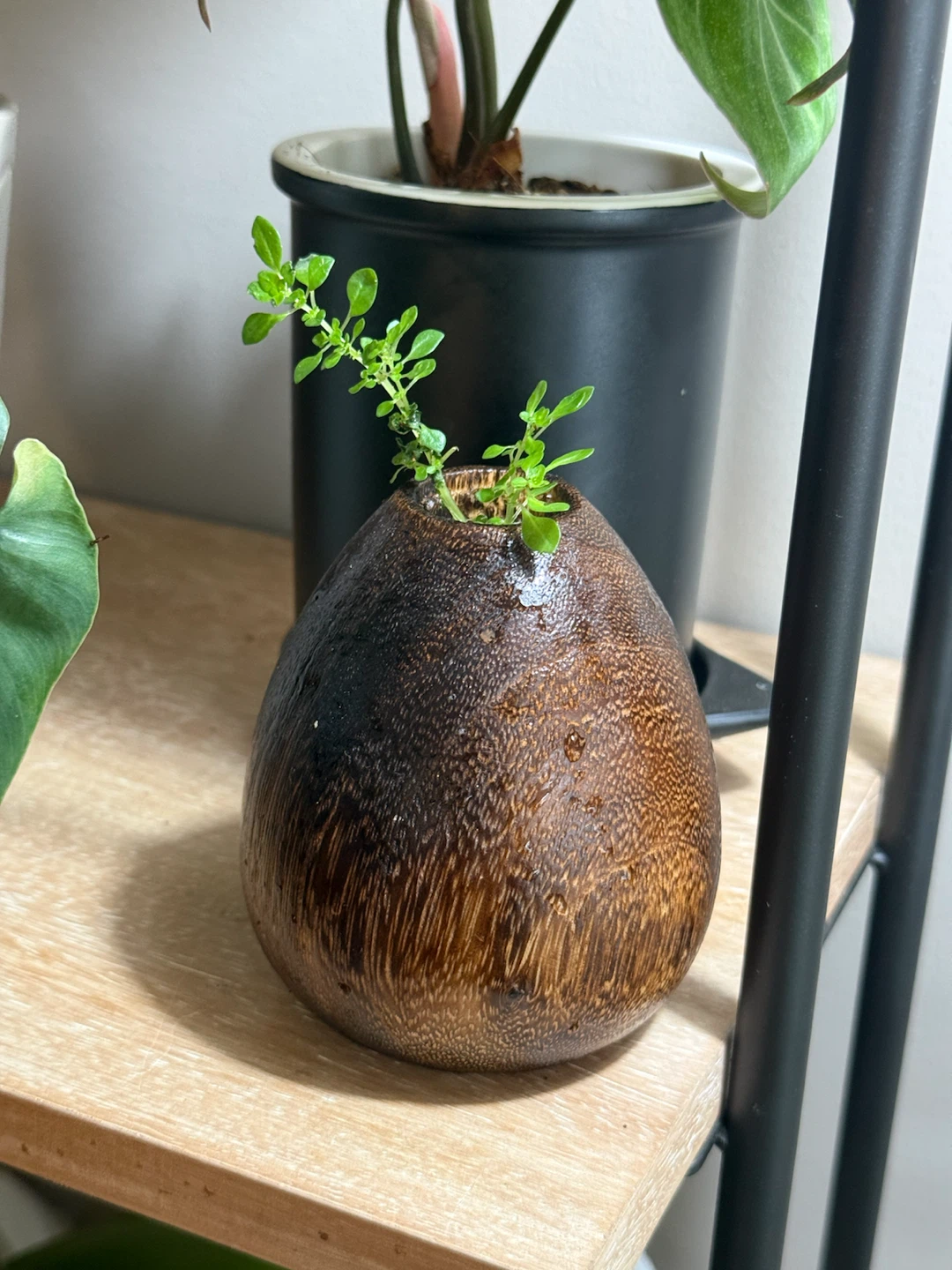 Wood Bud Vase with tiny plant bonsai - photo 4