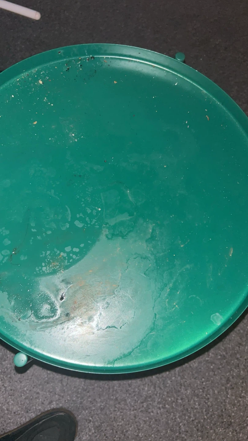 Green Round Side Table