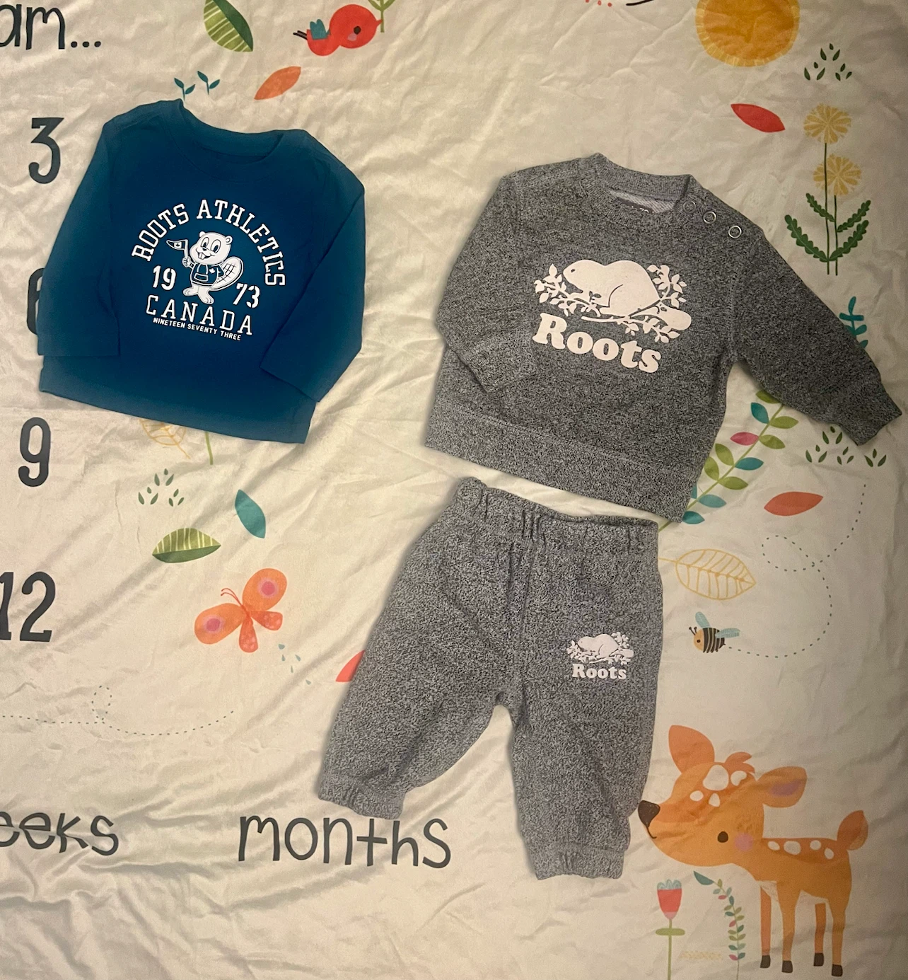 Roots Baby Clothes Set 3m - 6m