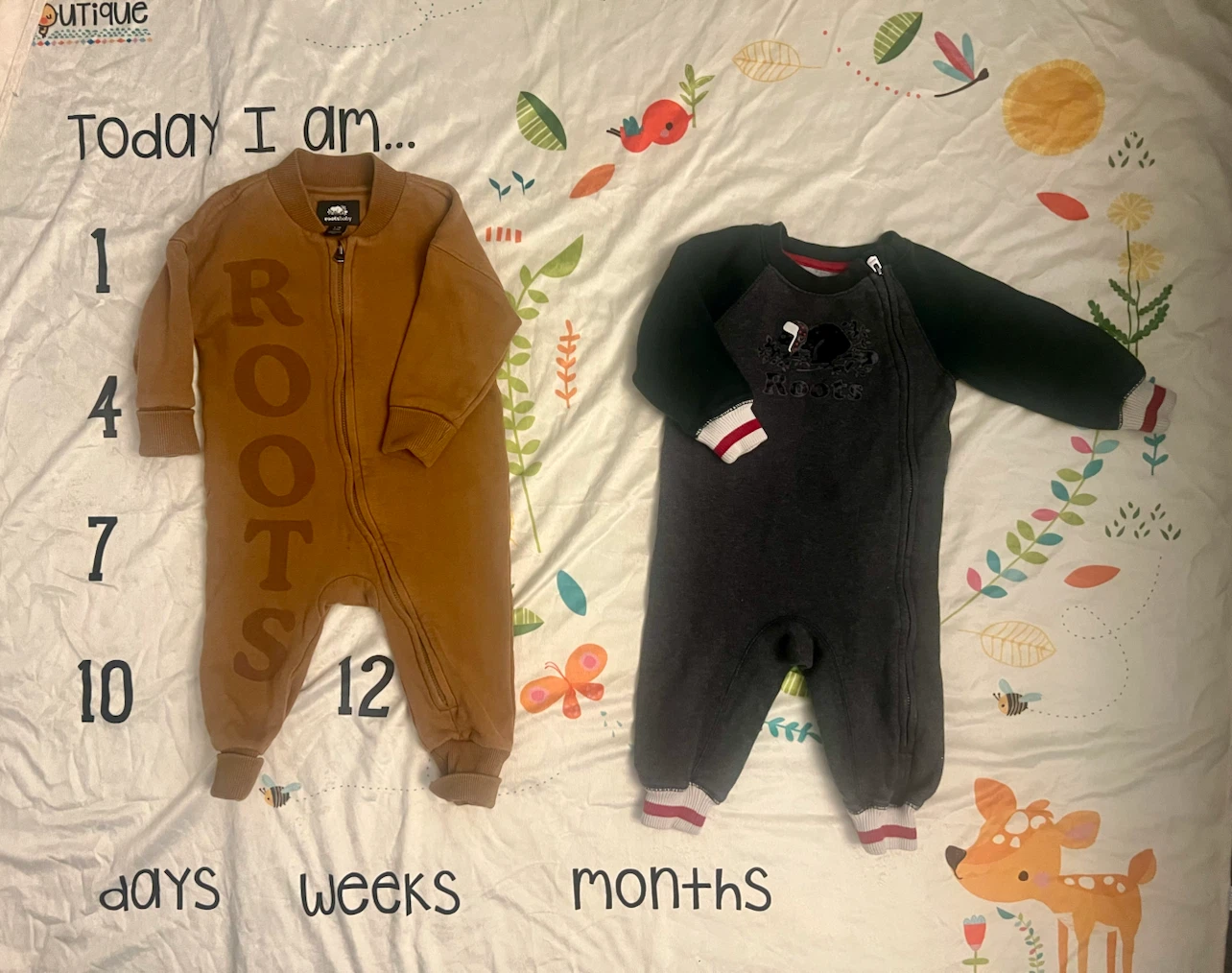 Roots Baby Bunting Suit 12m-18-m