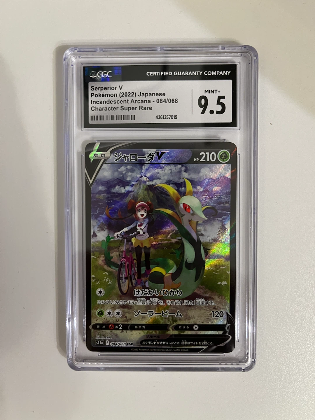 Pokemon Card