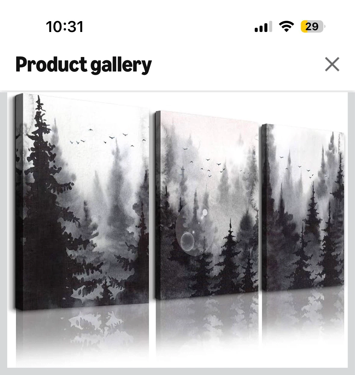 3 piece canvas wall art - photo 2
