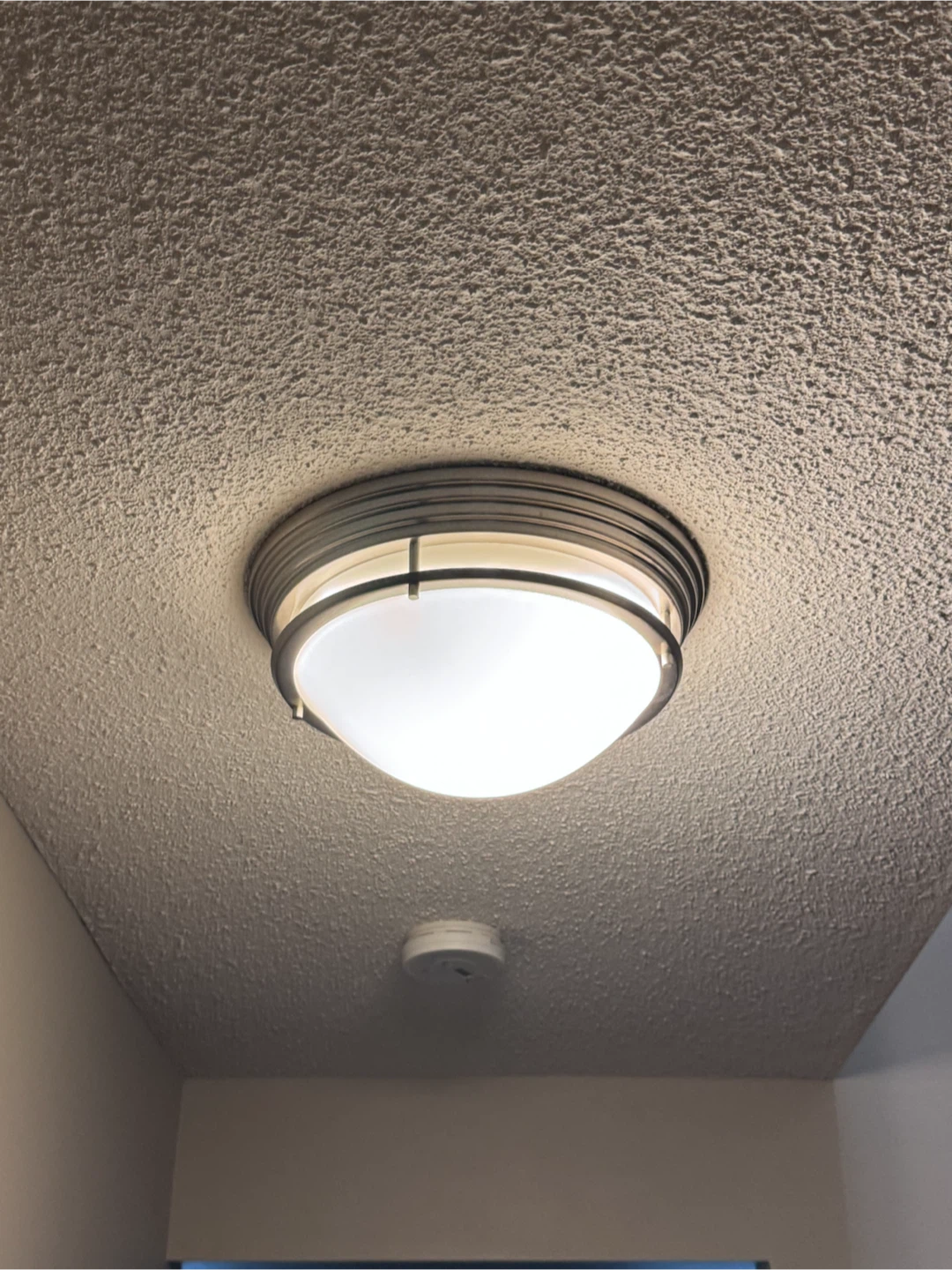 Flush Mount Ceiling Light Fixture