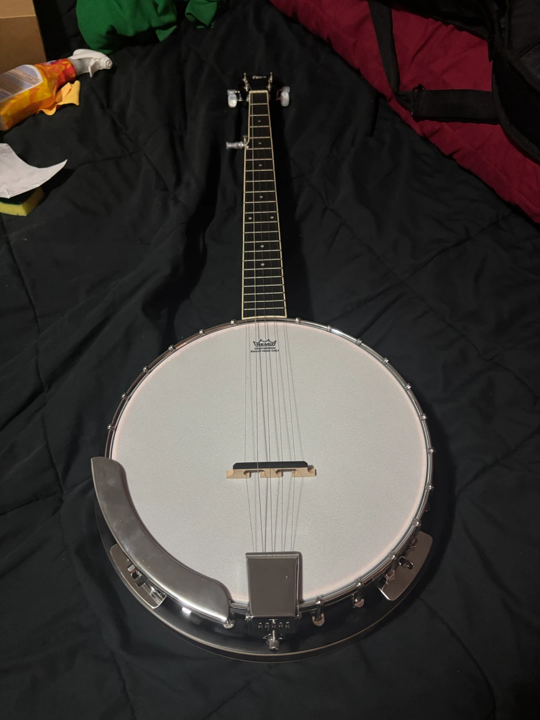 5-String Banjo - photo 2
