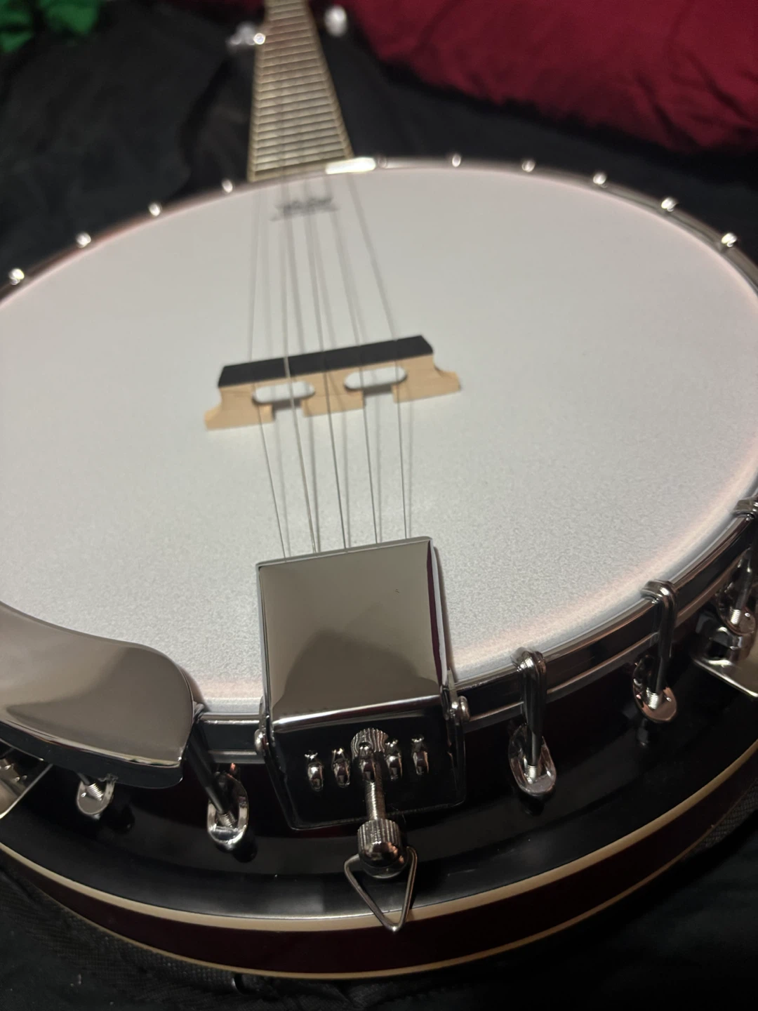 5-String Banjo - photo 3