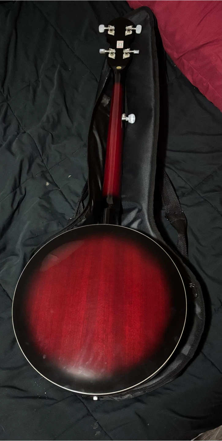 5-String Banjo - photo 4