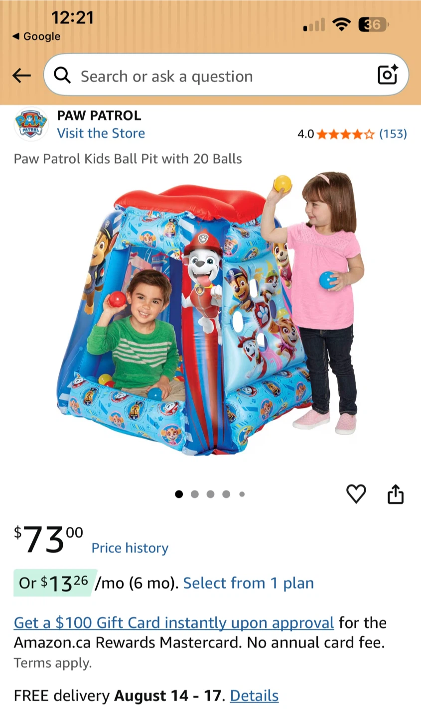 Paw Patrol Inflatable Playland with 20 Balls *NIB* - photo 2