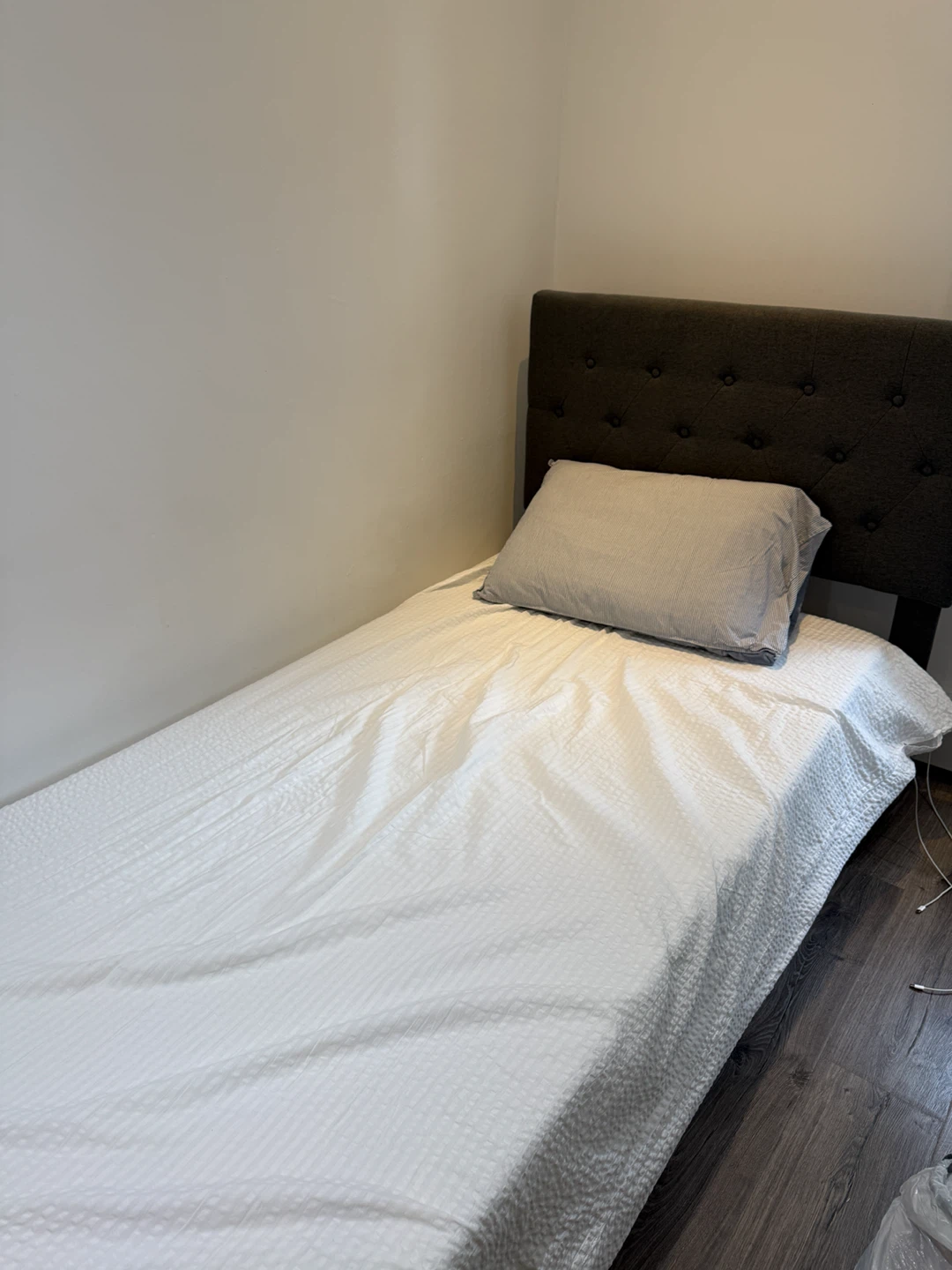 Twin Bed Frame with Zinus mattress