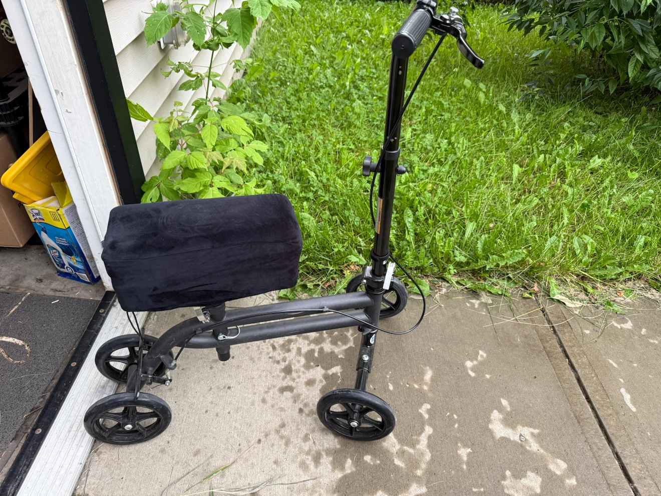 Knee Rover Scooter
