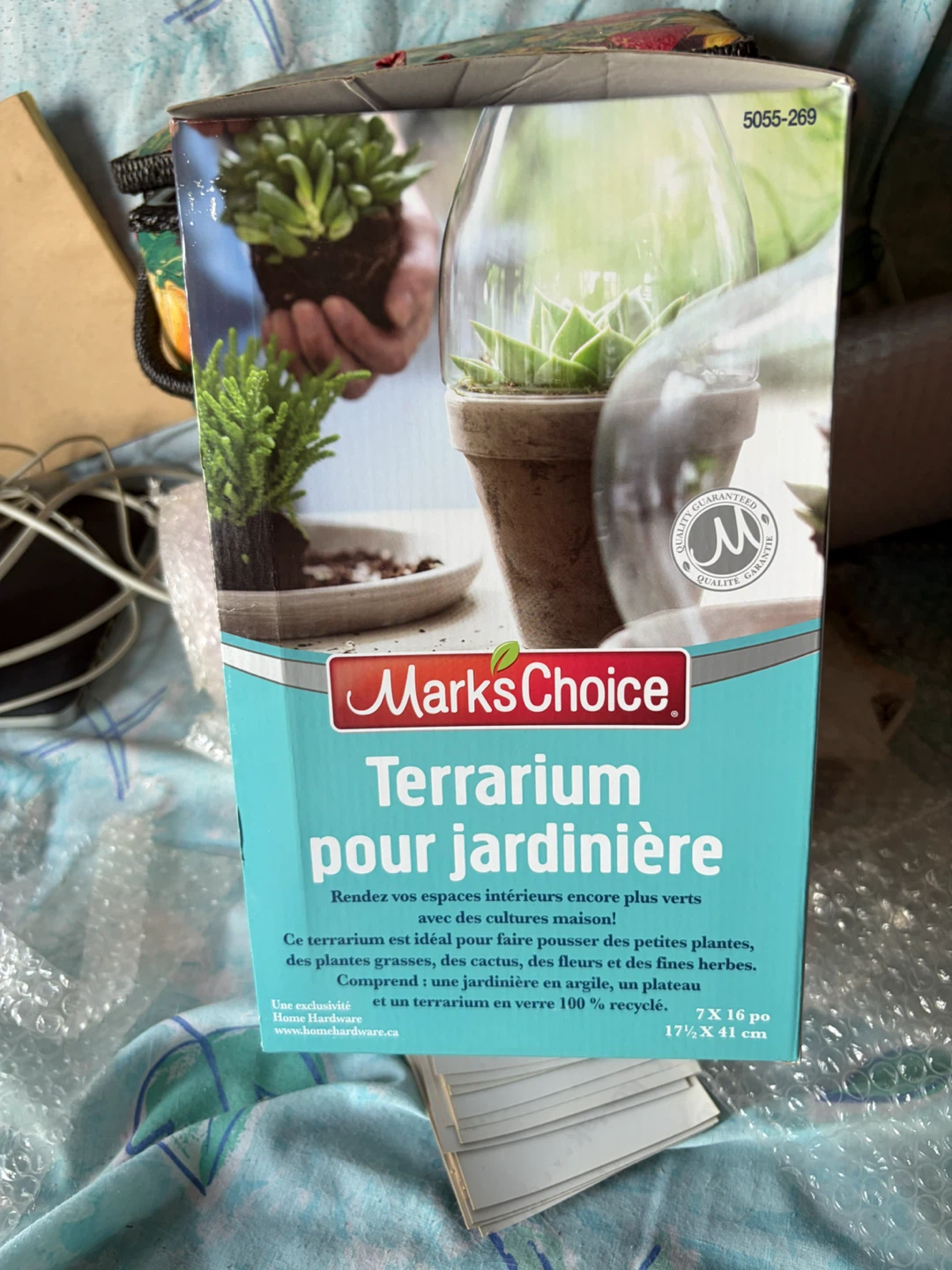 Marks & Choice Planter Terrarium Kit